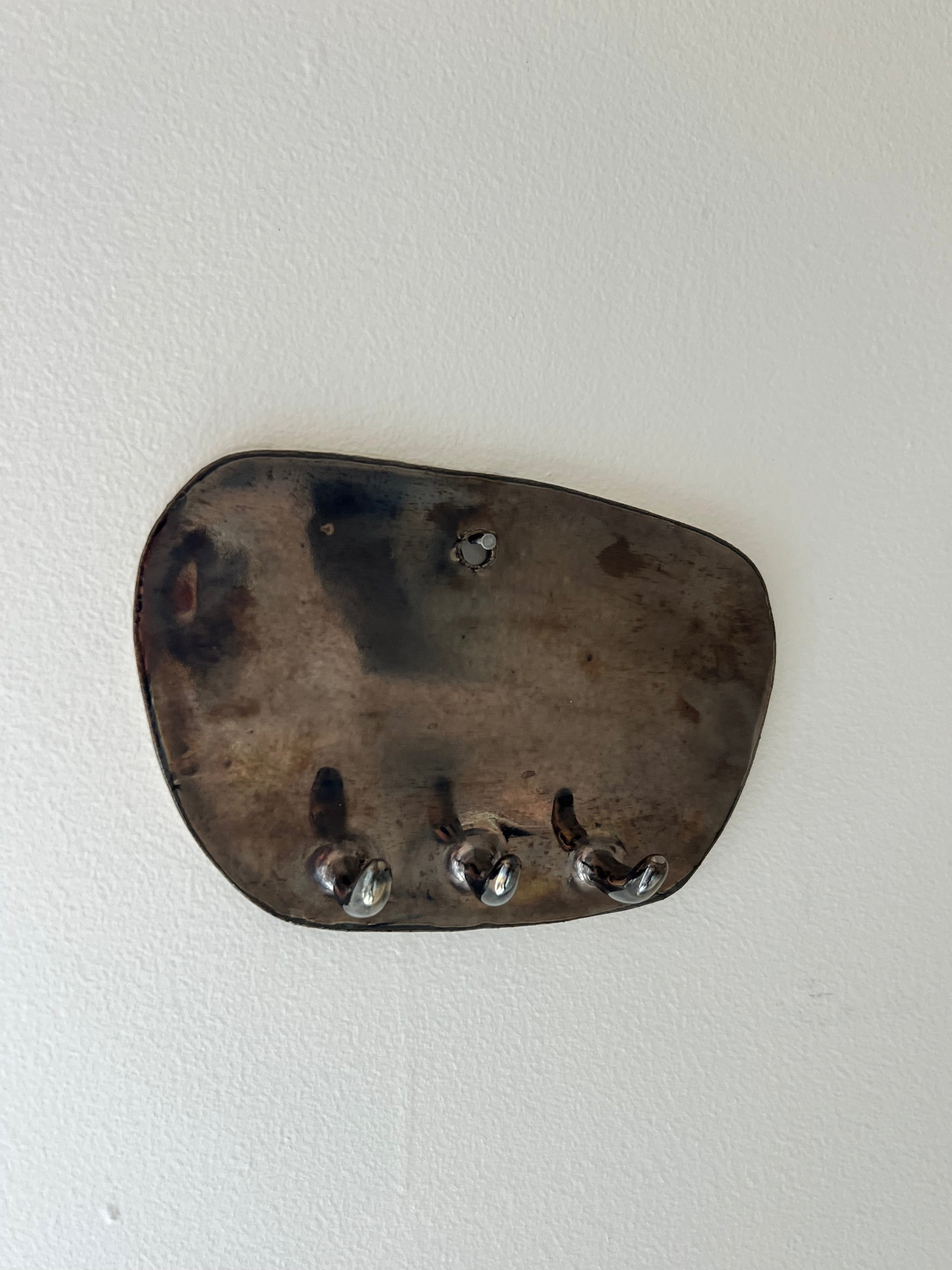Metallic Wall Hook